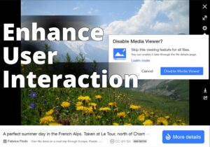 File:Media Viewer - New Design - Disable Panel 1 Dialog.png - a screen shot of a field of flowers